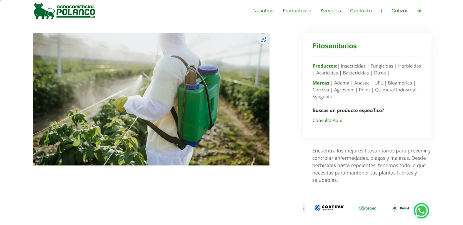 Vista 2 del proyecto Agrocomercial Polanco